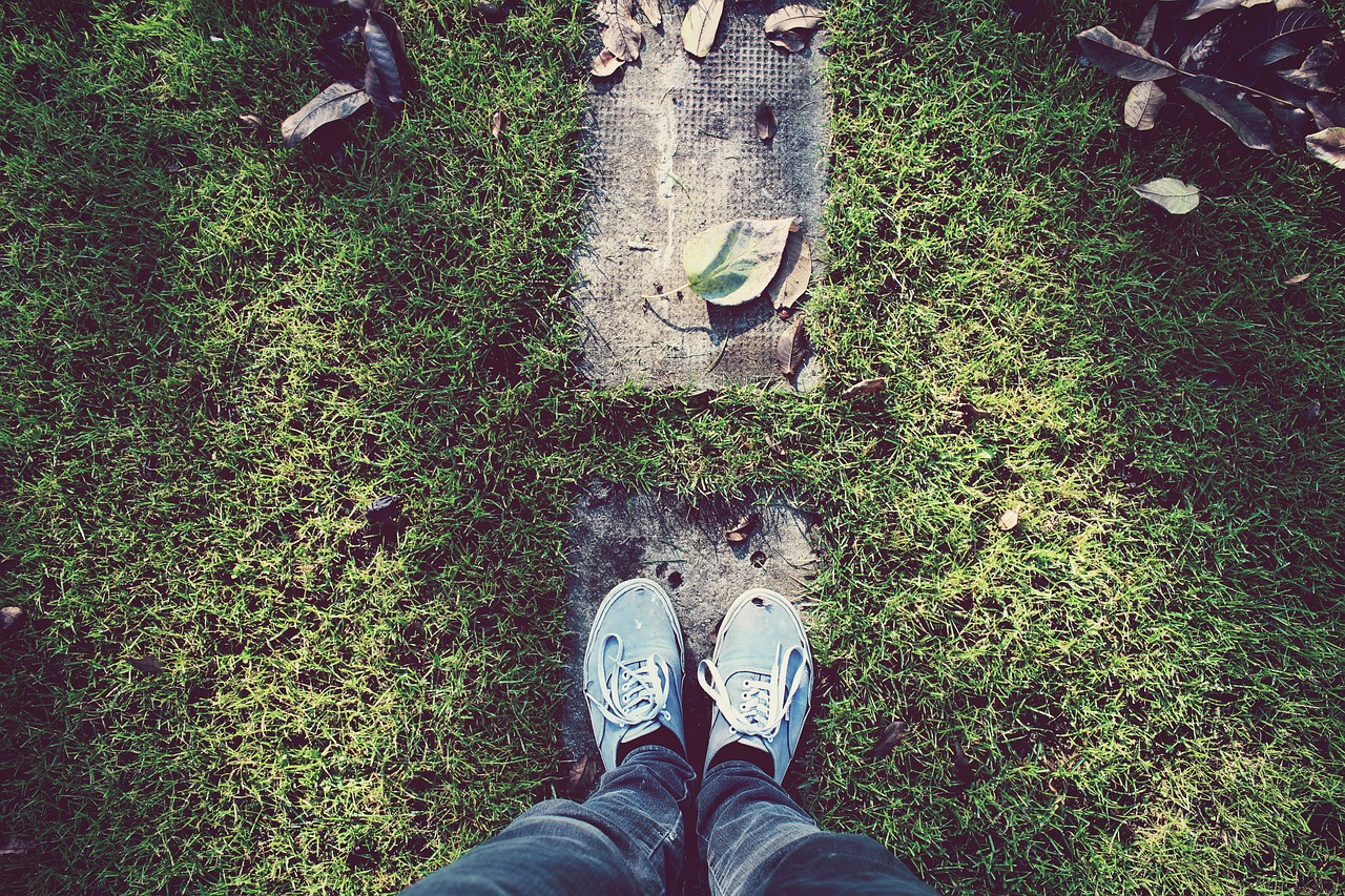 footwear grass leaves free photo
