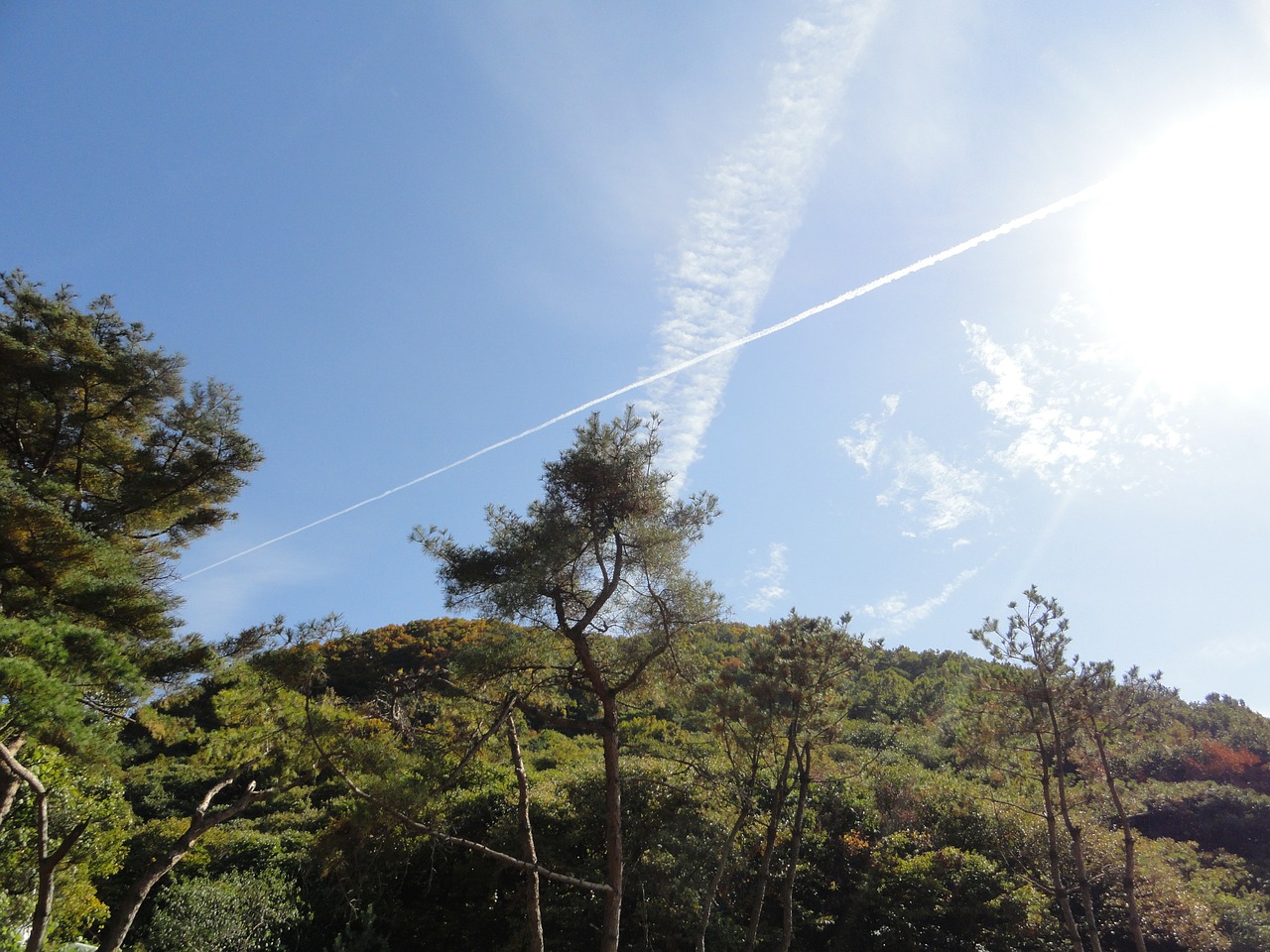 for an empty mountain gyeonggi do hike free photo