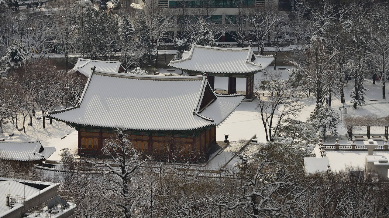 forbidden city  snow  traditional free photo