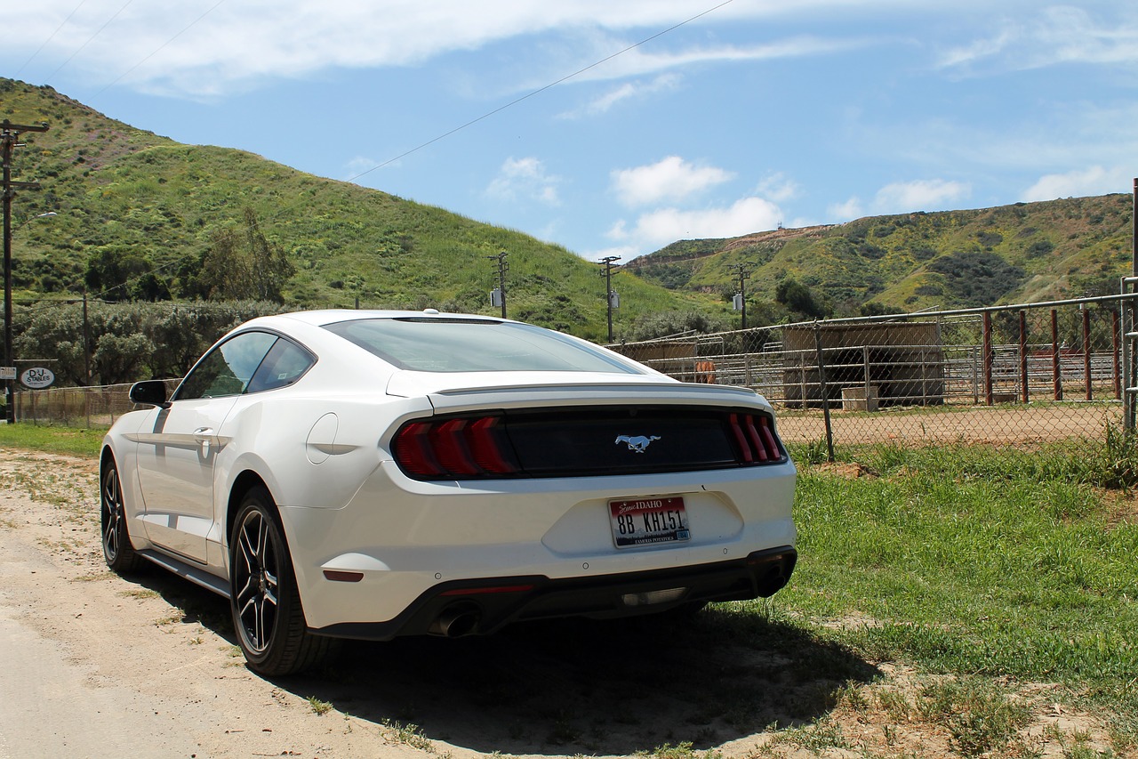 ford  mustang  muscle free photo