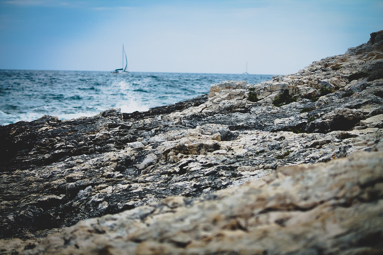 foreground rock ocean free photo