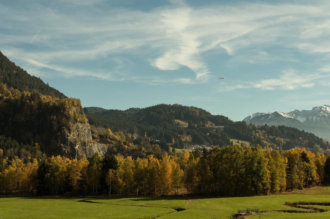 forest autumn autumn colours free photo