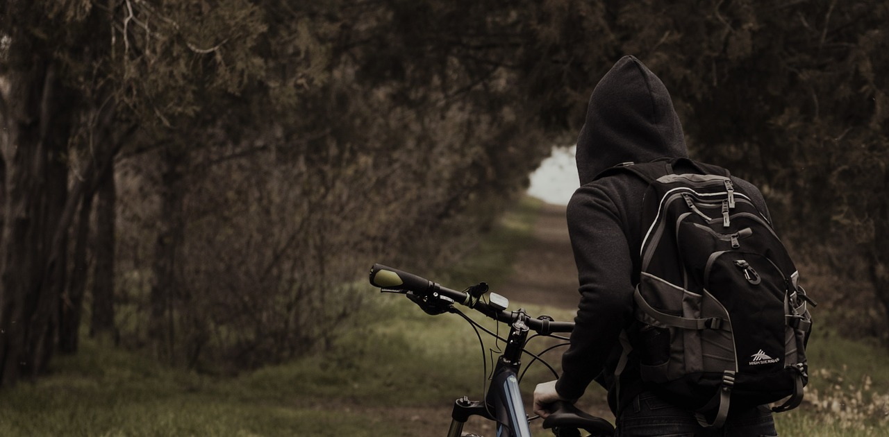 forest man cyclist free photo