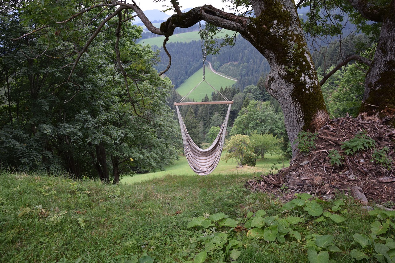 hammock holiday forest free photo