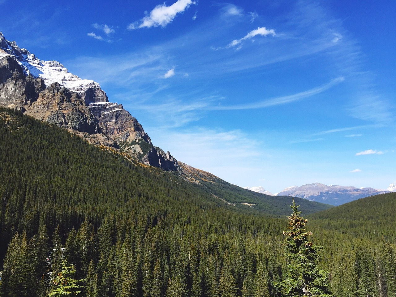 forest mountains valley free photo