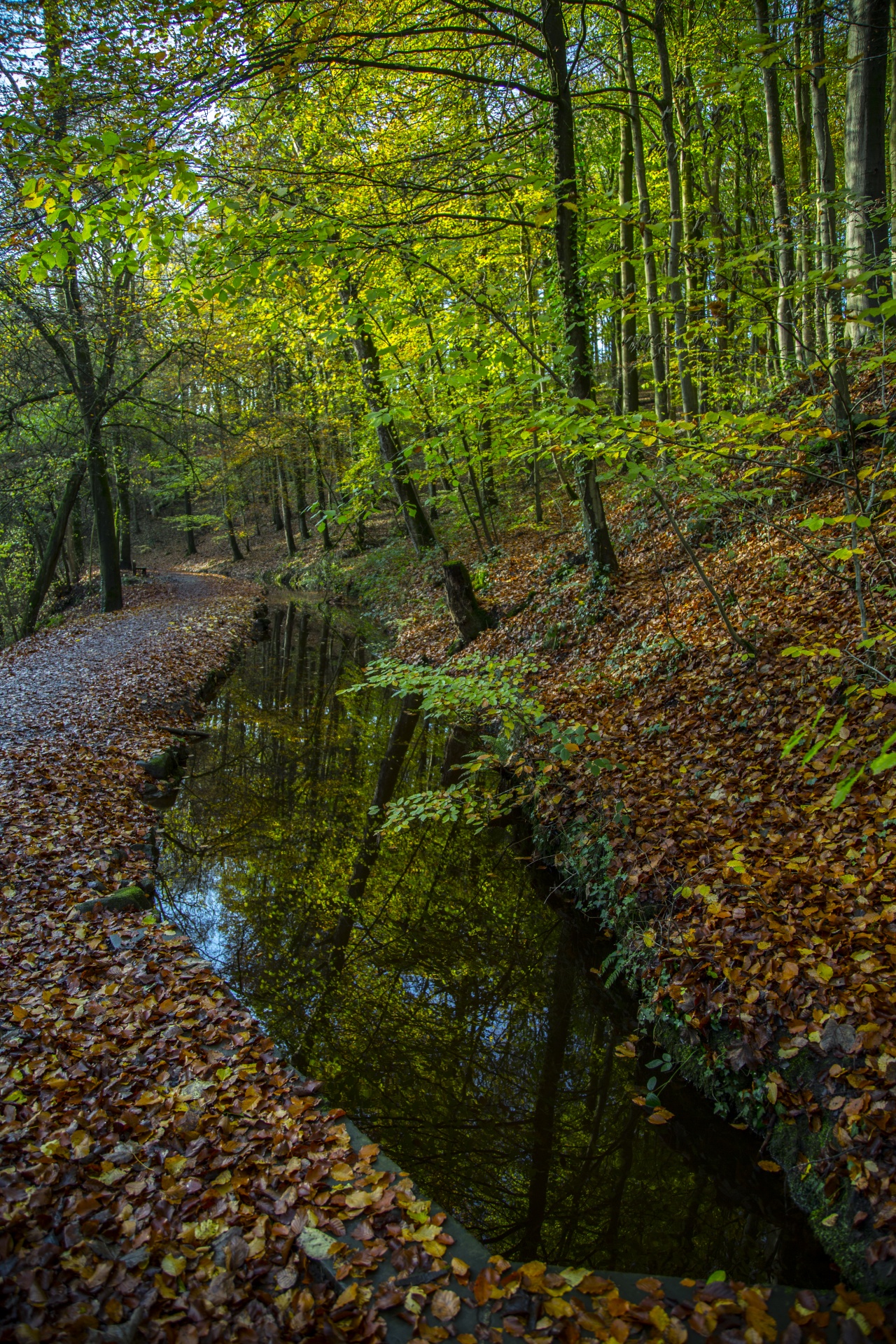 autumn leaf leaves free photo