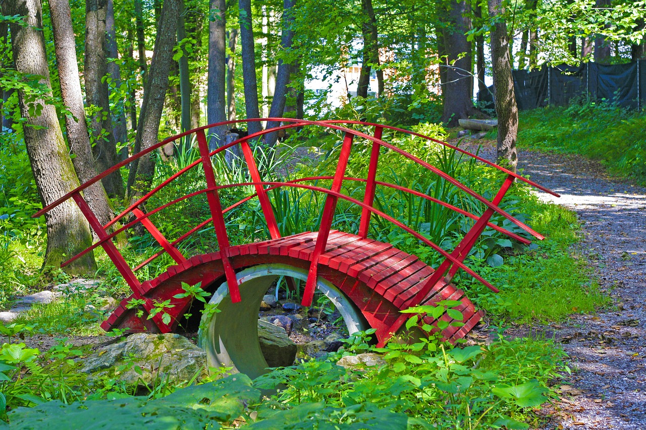 forest web bridge free photo