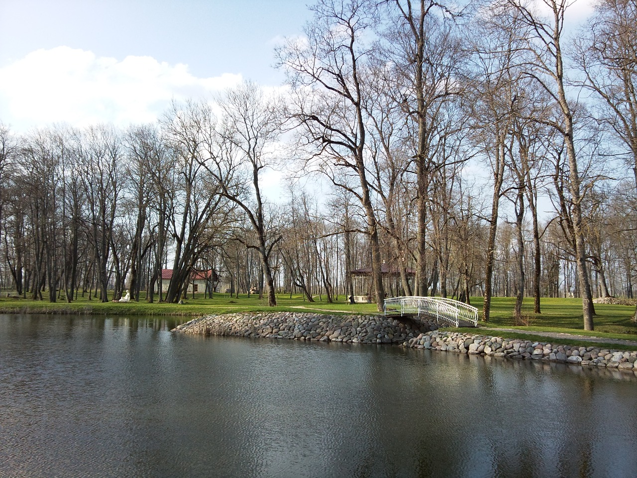 forest park trees free photo