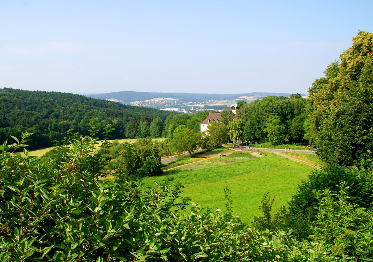 forest eifel meadow free photo