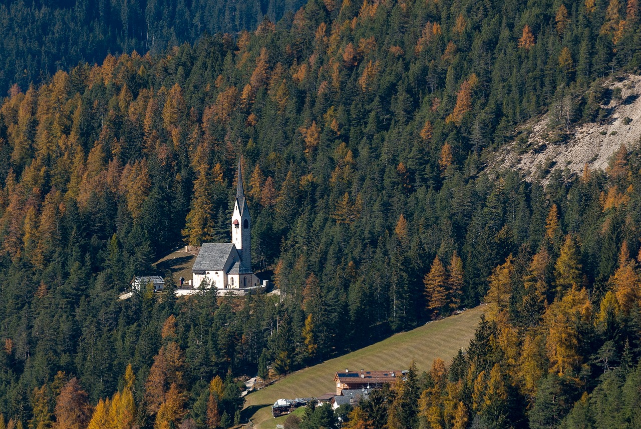 forest autumn church free photo