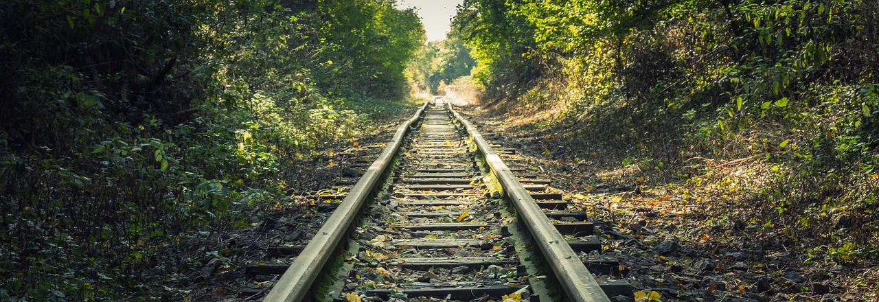 forest railway track free photo