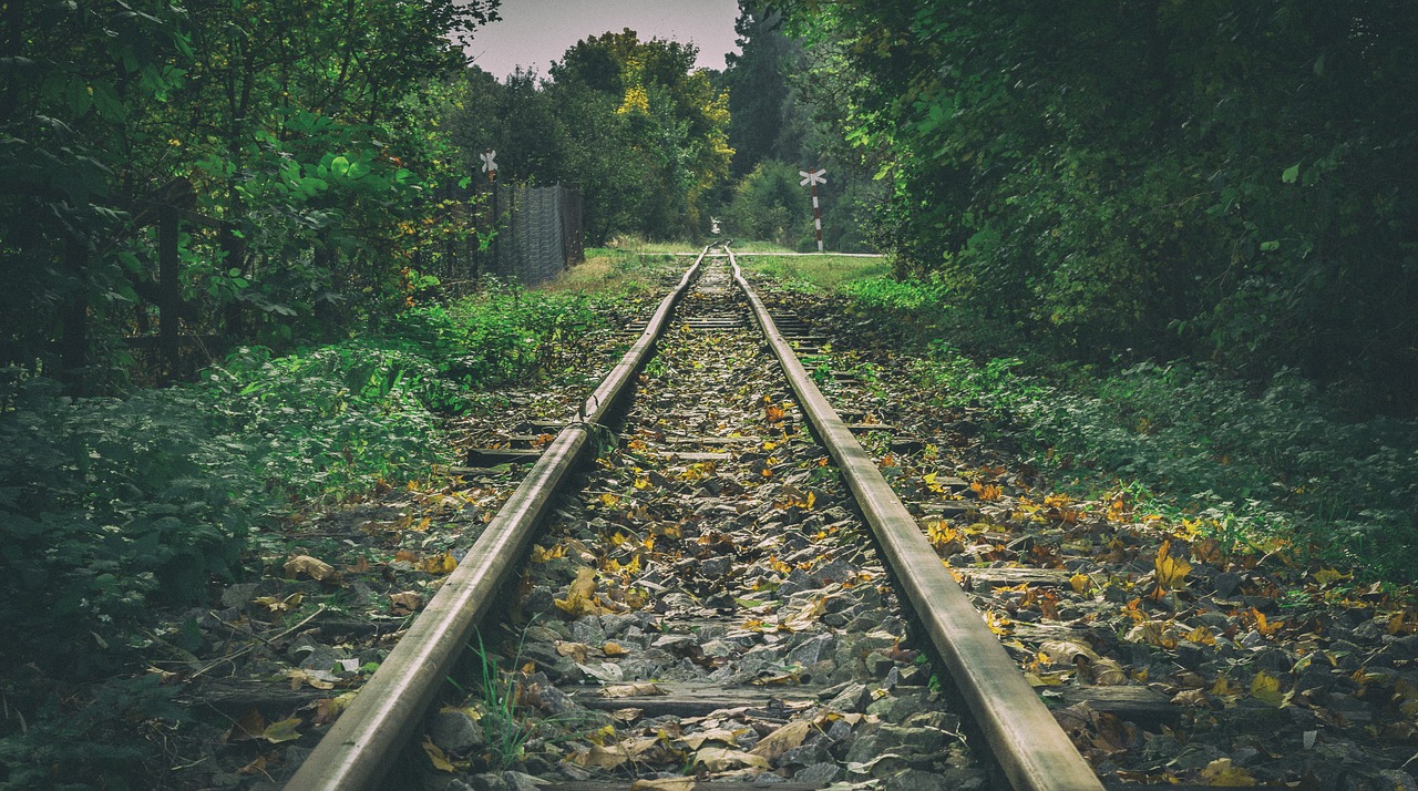 forest railway track free photo