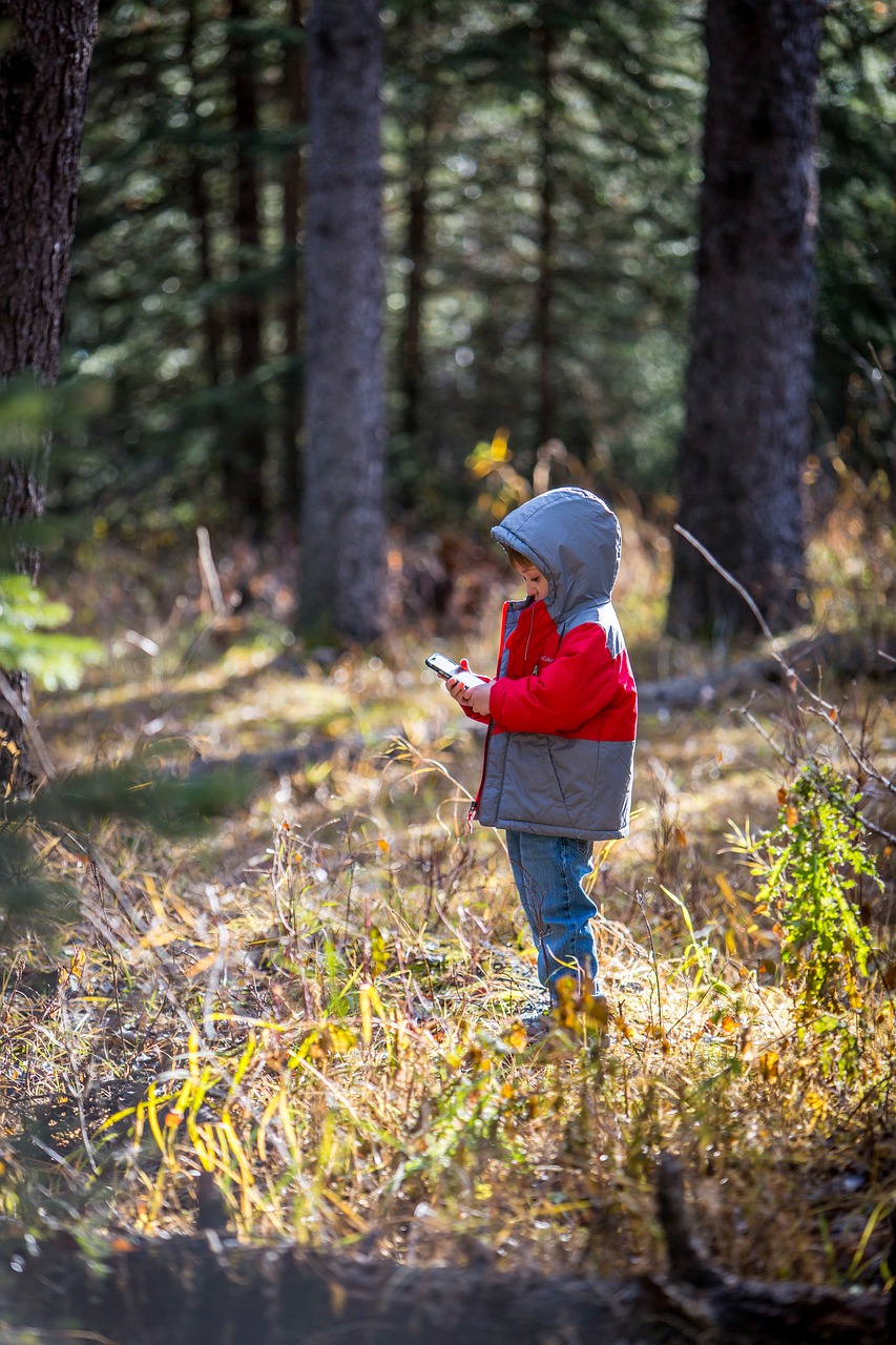 forest adventure nature free photo