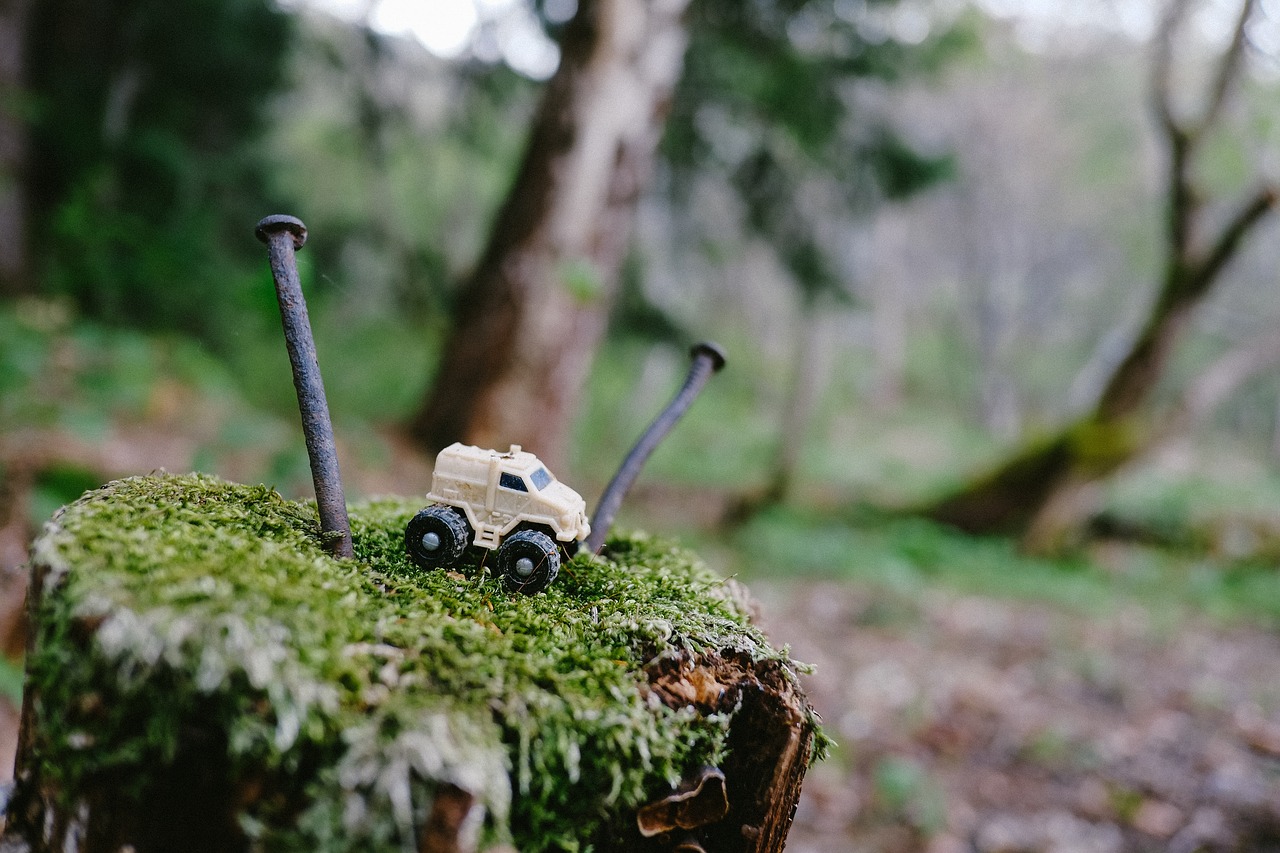 forest toy truck free photo