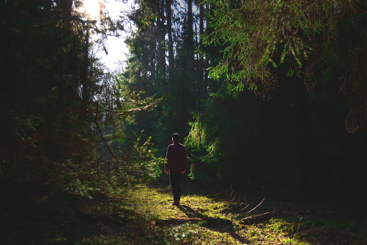 forest man nature free photo