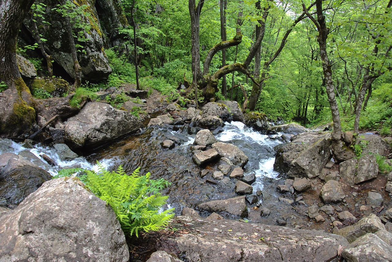 forest green waterfall free photo