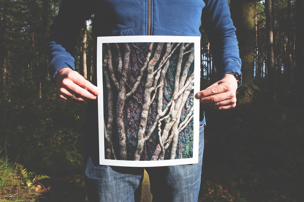 forest hands held free photo