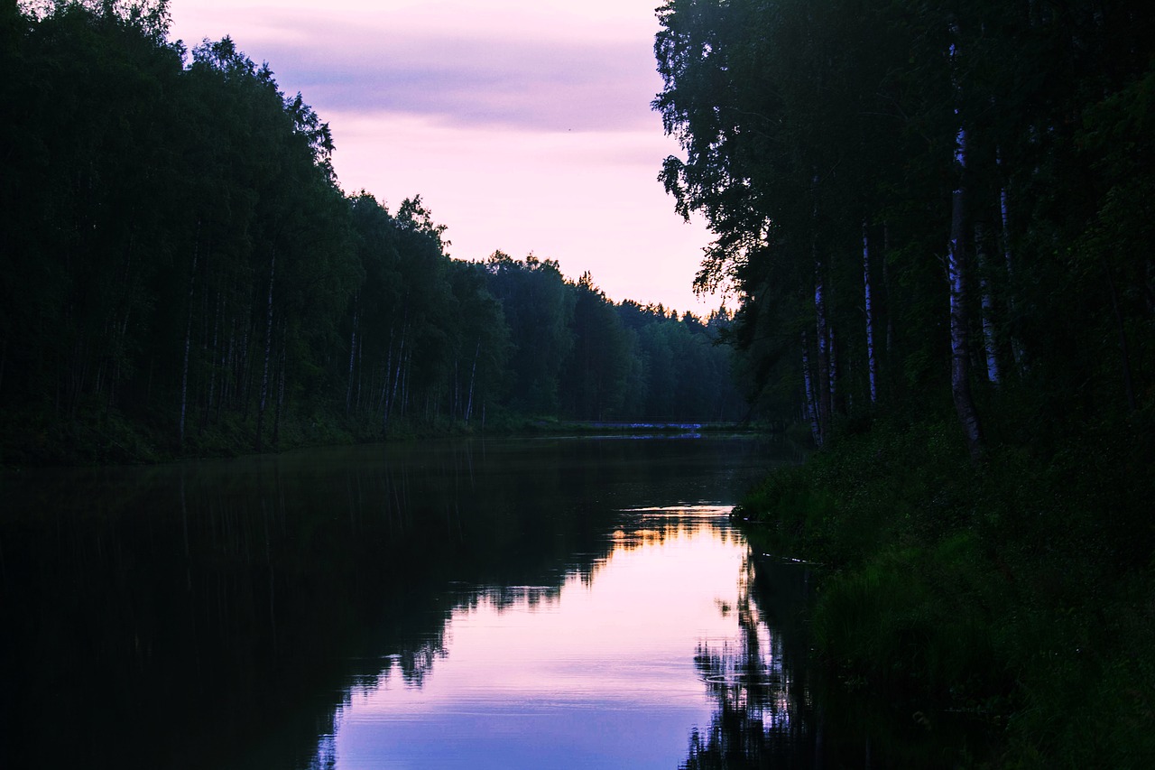 forest river russia free photo