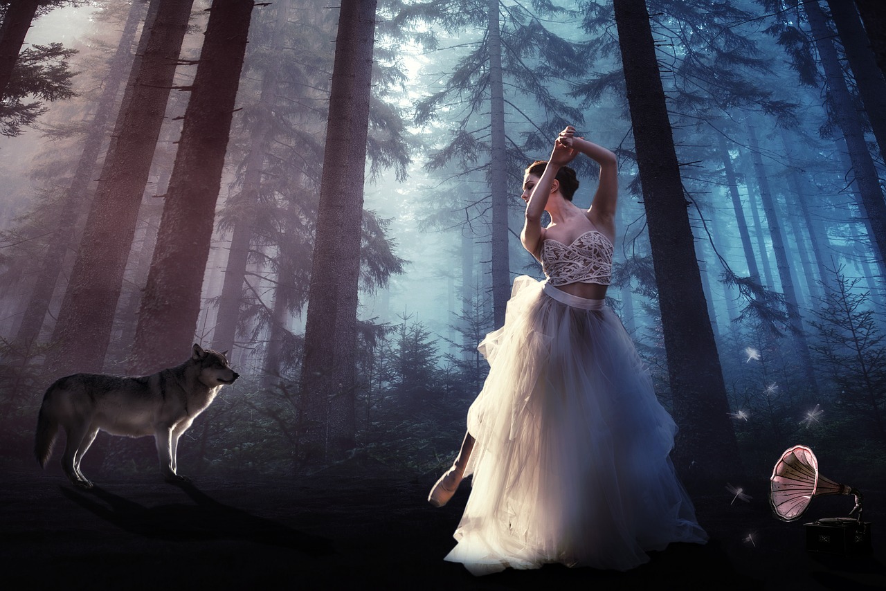 forest surrealism wolf free photo