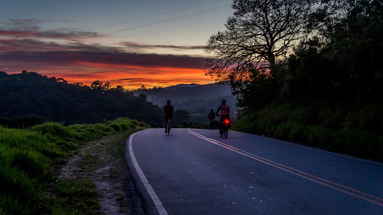 forest mato road free photo