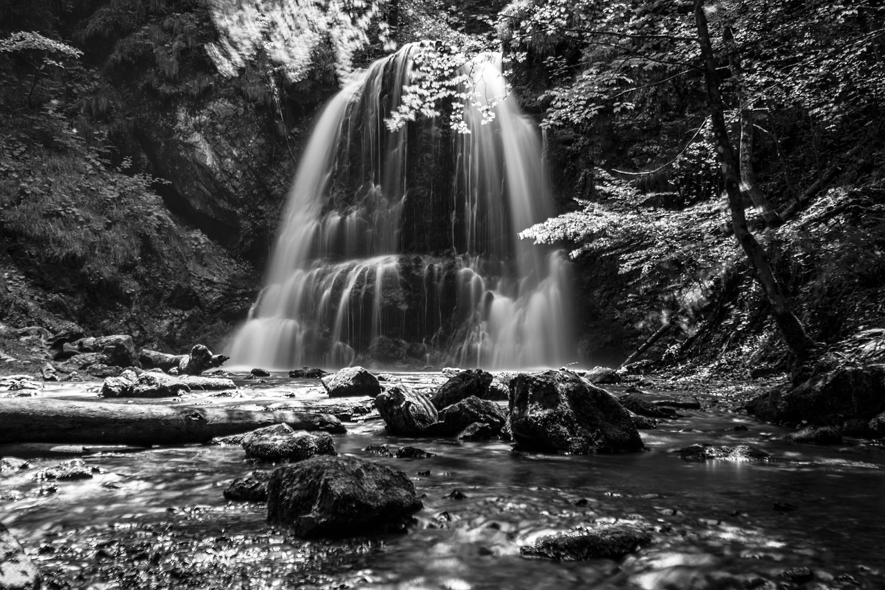 forest waterfall schliersee free photo