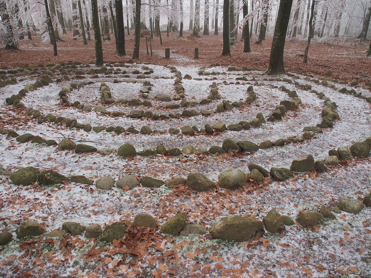 forest winter time labyrinth free photo