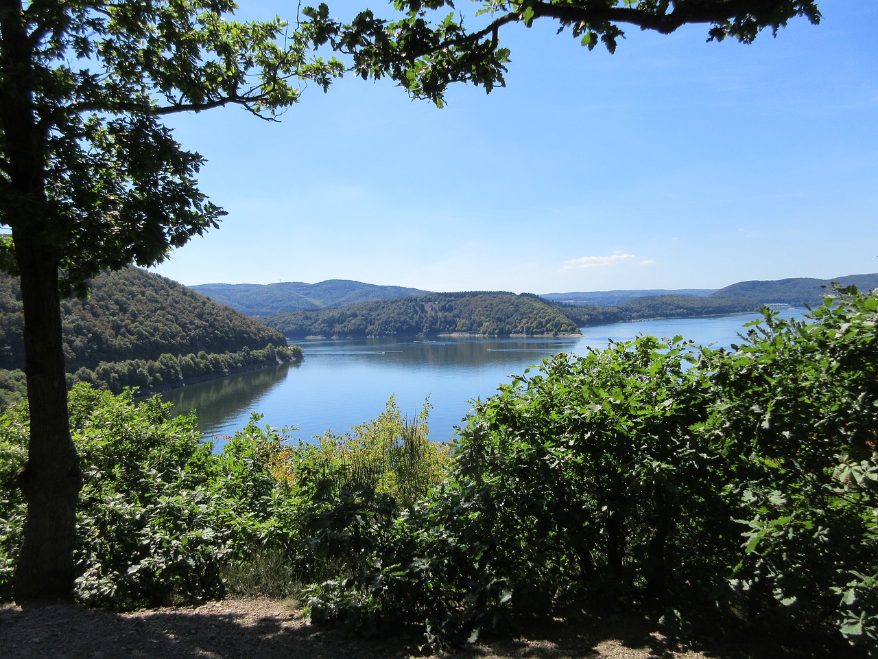 forest lake view edersee free photo