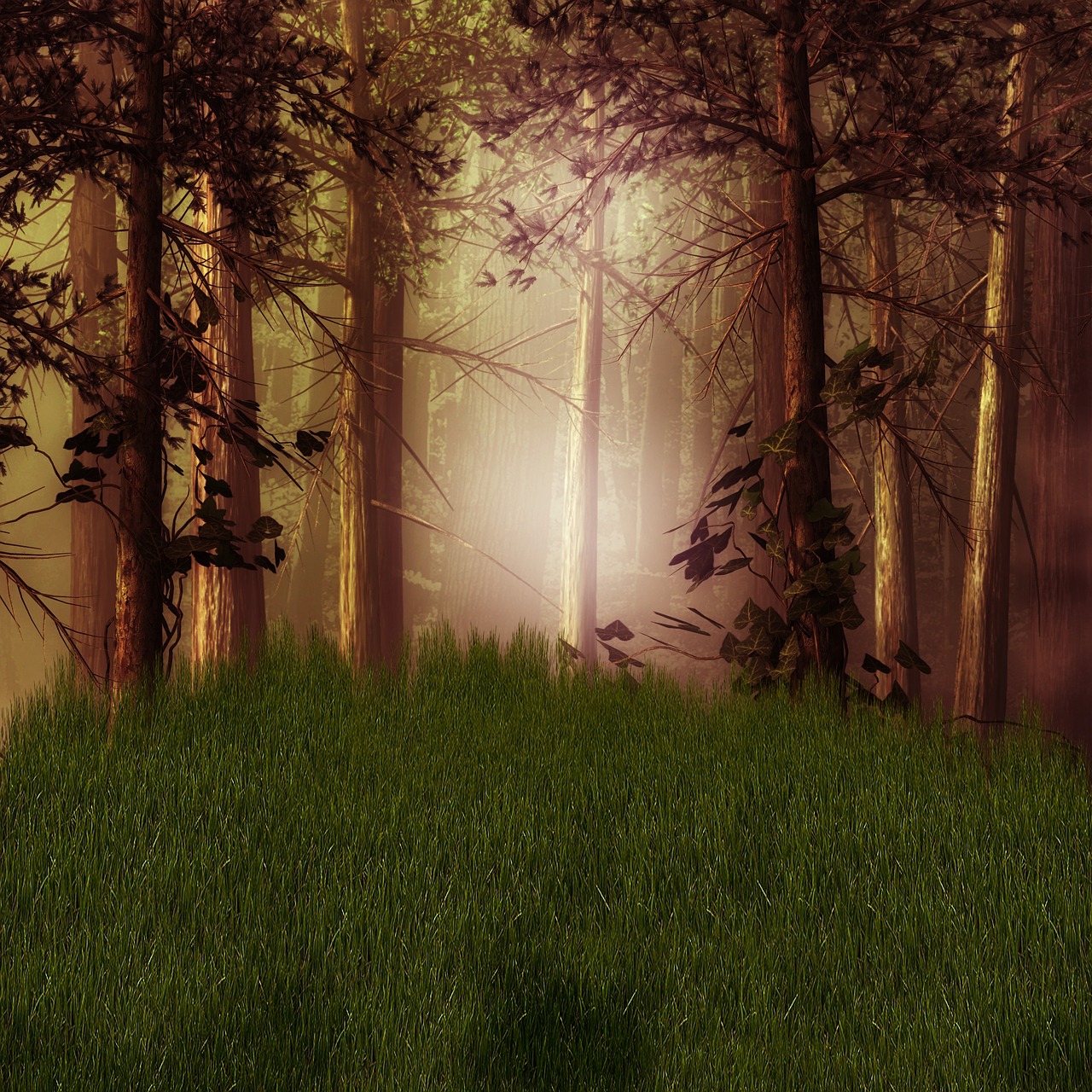 forest rush mystical free photo