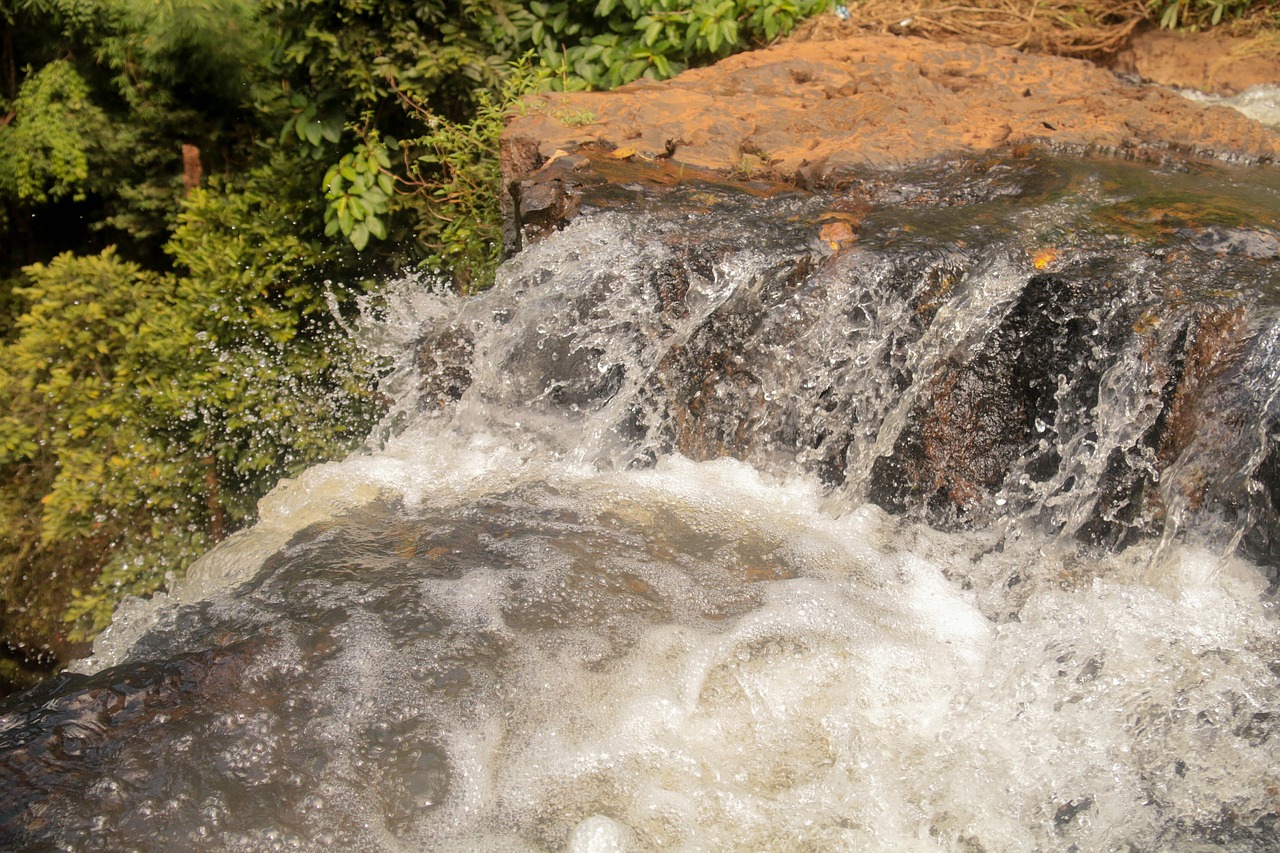 forest nature waterfall free photo