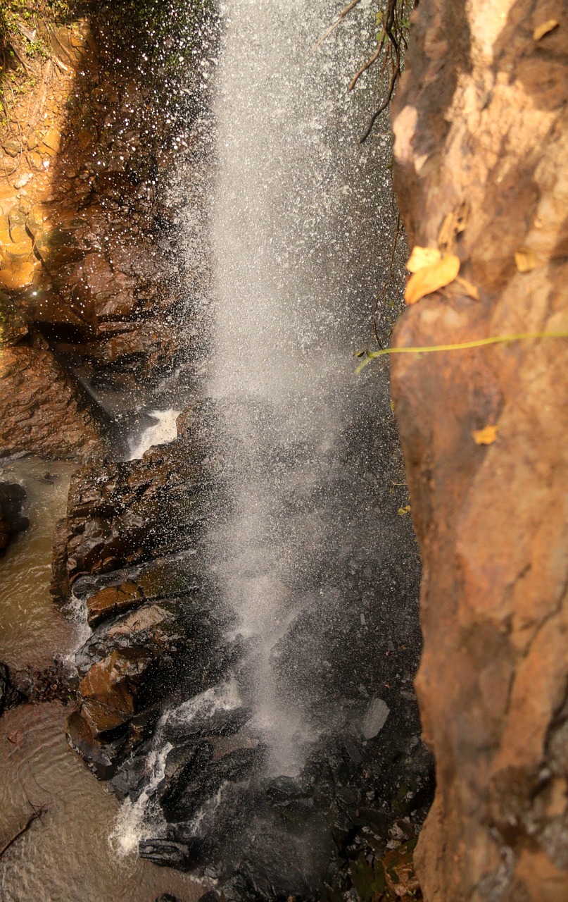 forest nature waterfall free photo