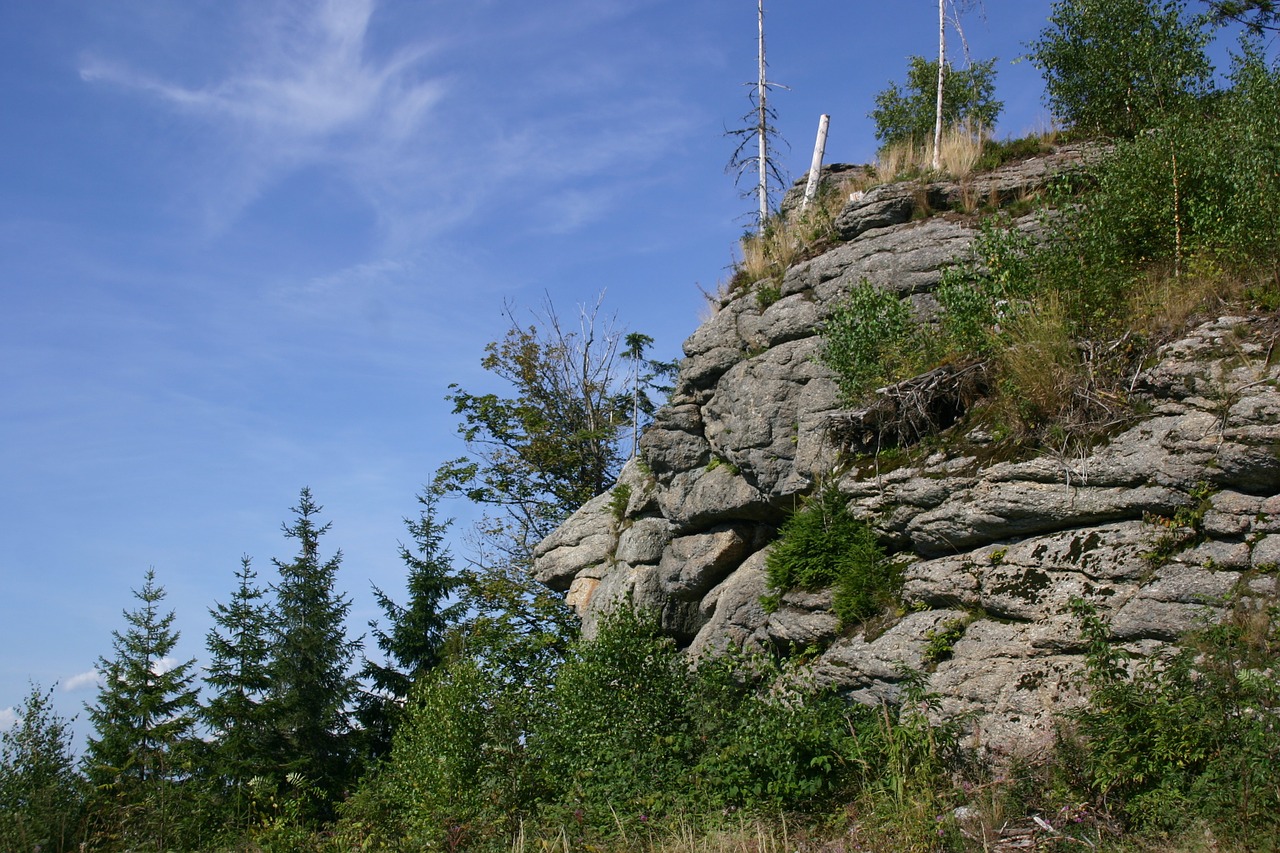 forest rock hiking free photo