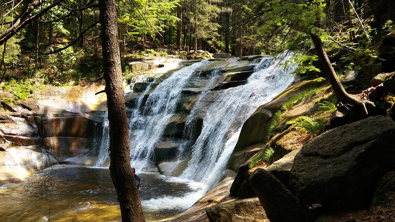 forest waterfall the giant mountains free photo