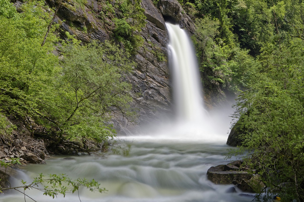 forest waterfall nature free photo