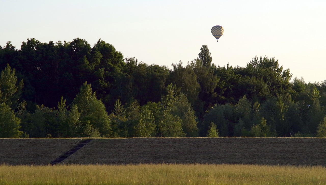 forest shafts balloon free photo
