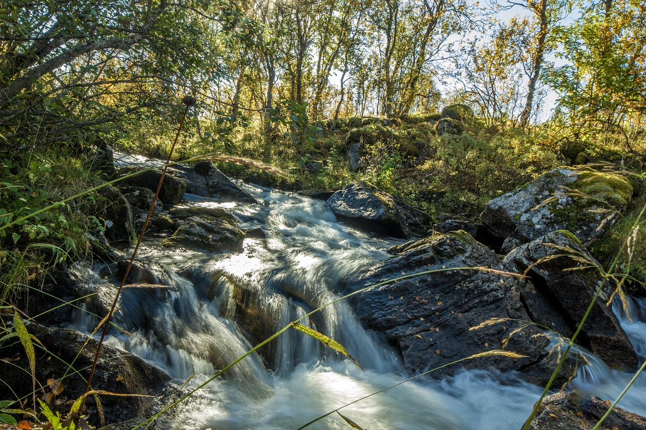 forest waterfall norway free photo