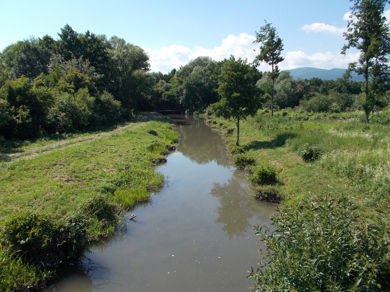 forest water slovakia free photo