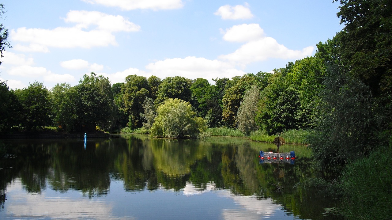 forest pond nature free photo