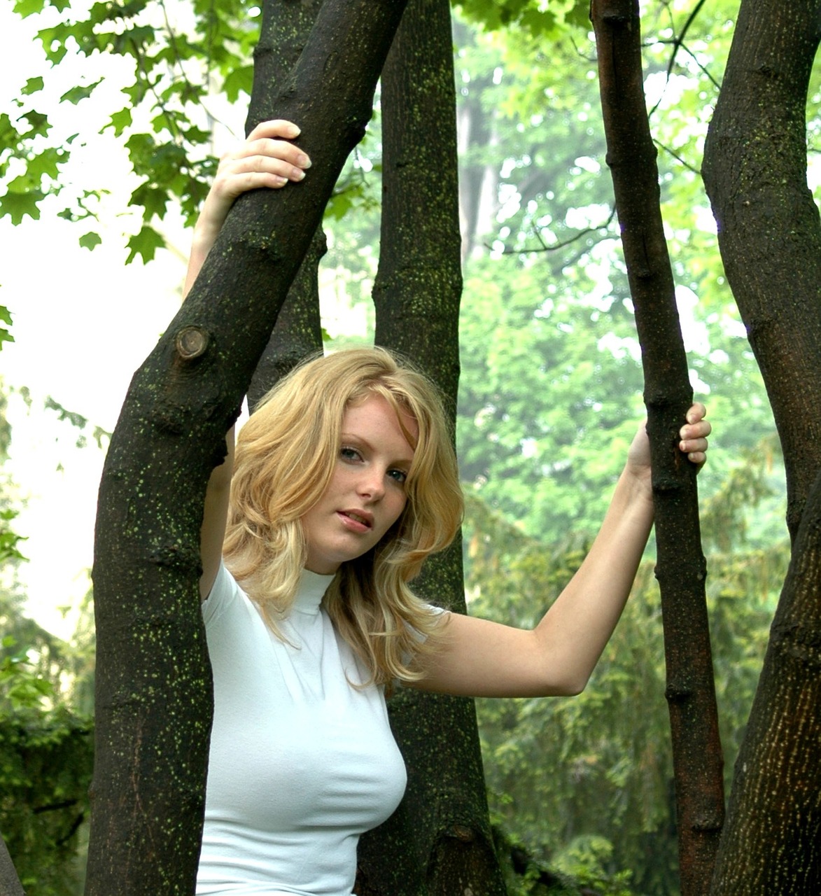 forest girl tree free photo