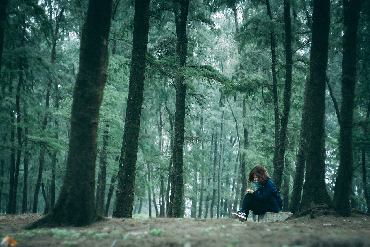 forest girl love free photo