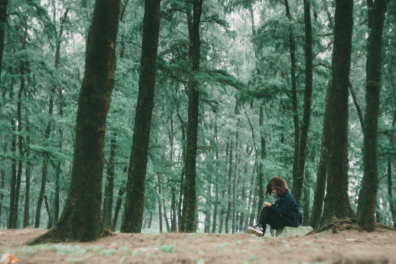 forest girl love free photo