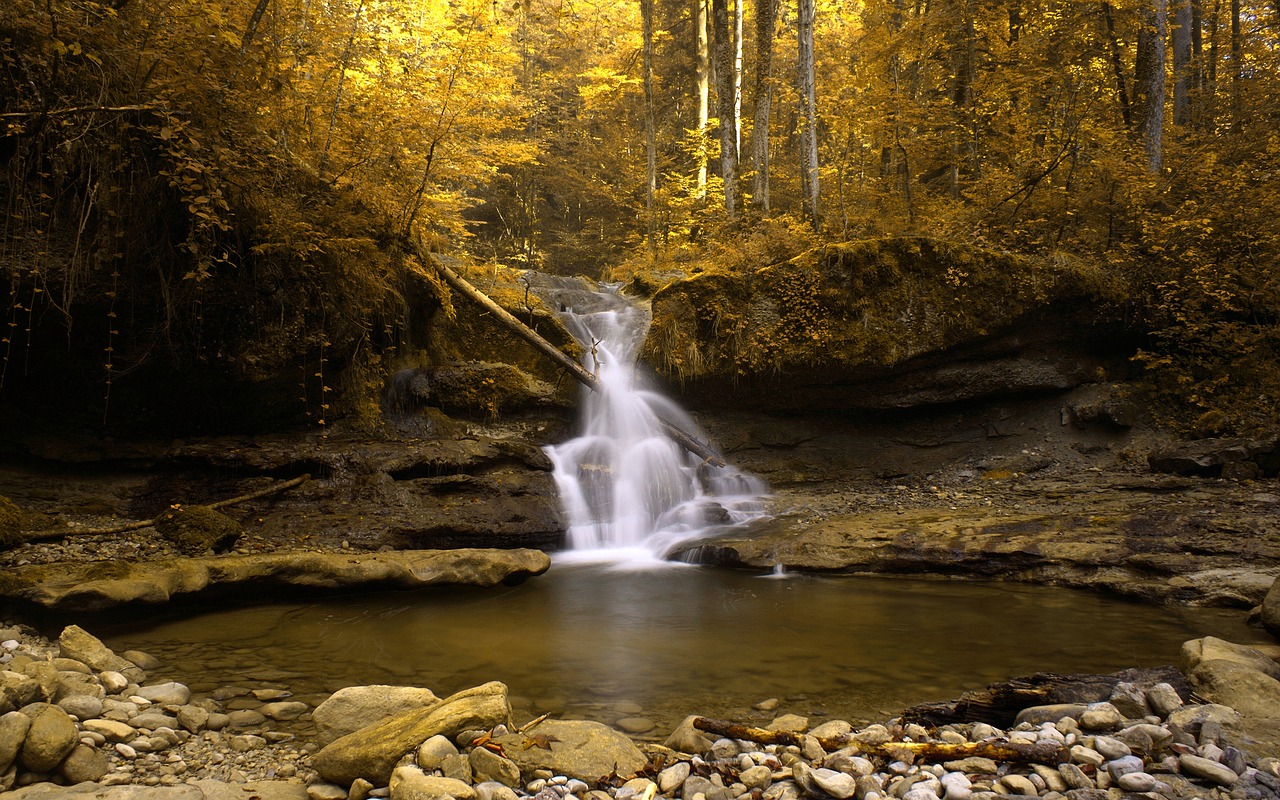 forest nature small waterfall free photo