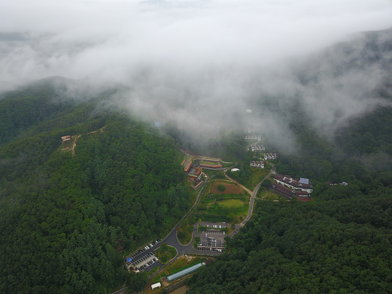 forest cloud mountain free photo