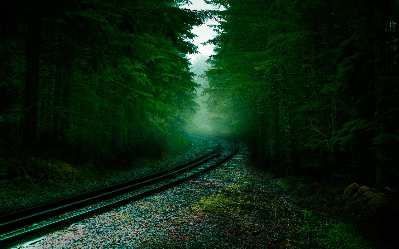 forest railway sleepers free photo