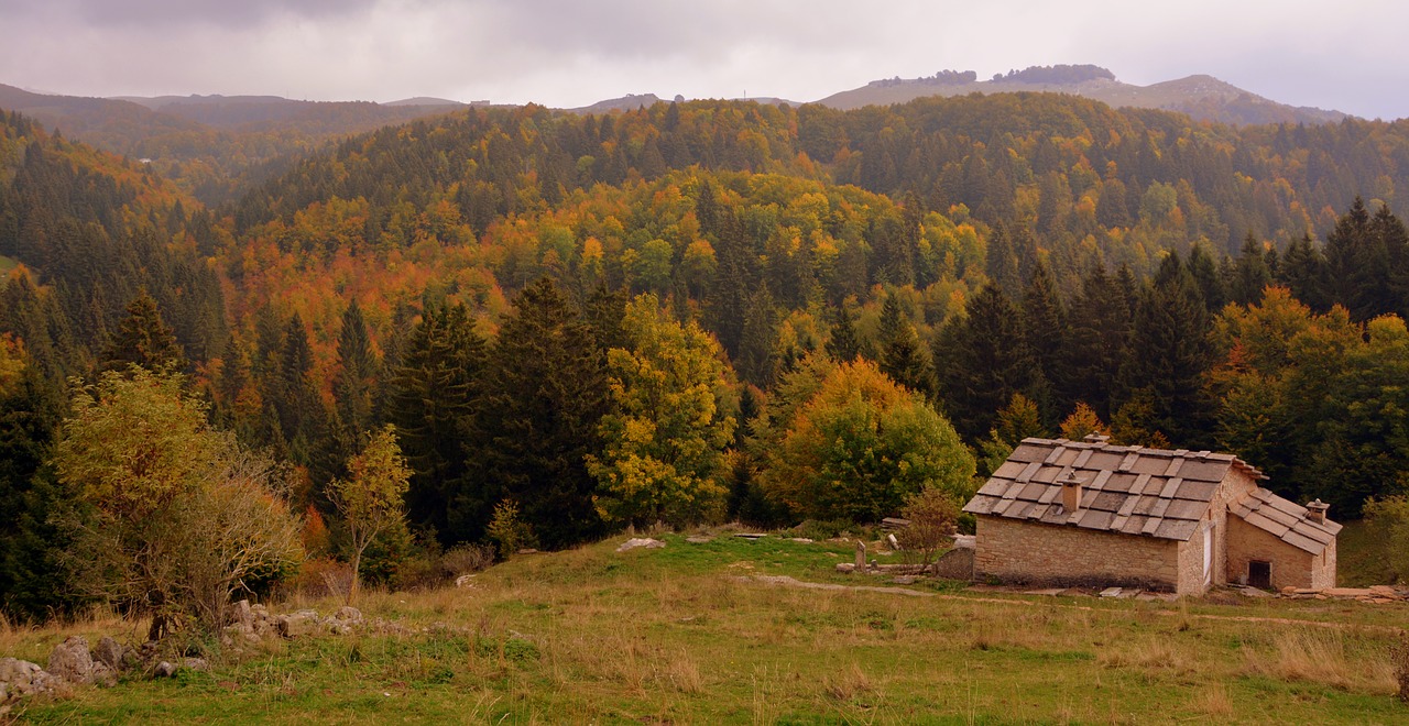 forest autumn alm free photo