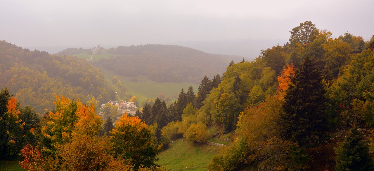 forest autumn landscape free photo