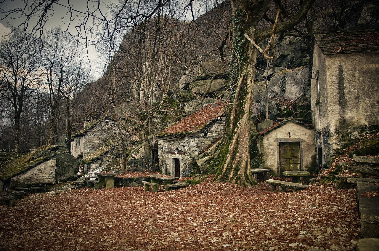 forest houses trees free photo