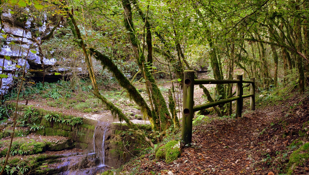 forest waterfall fence free photo