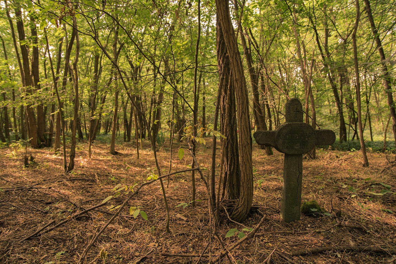 forest cemetery grave free photo