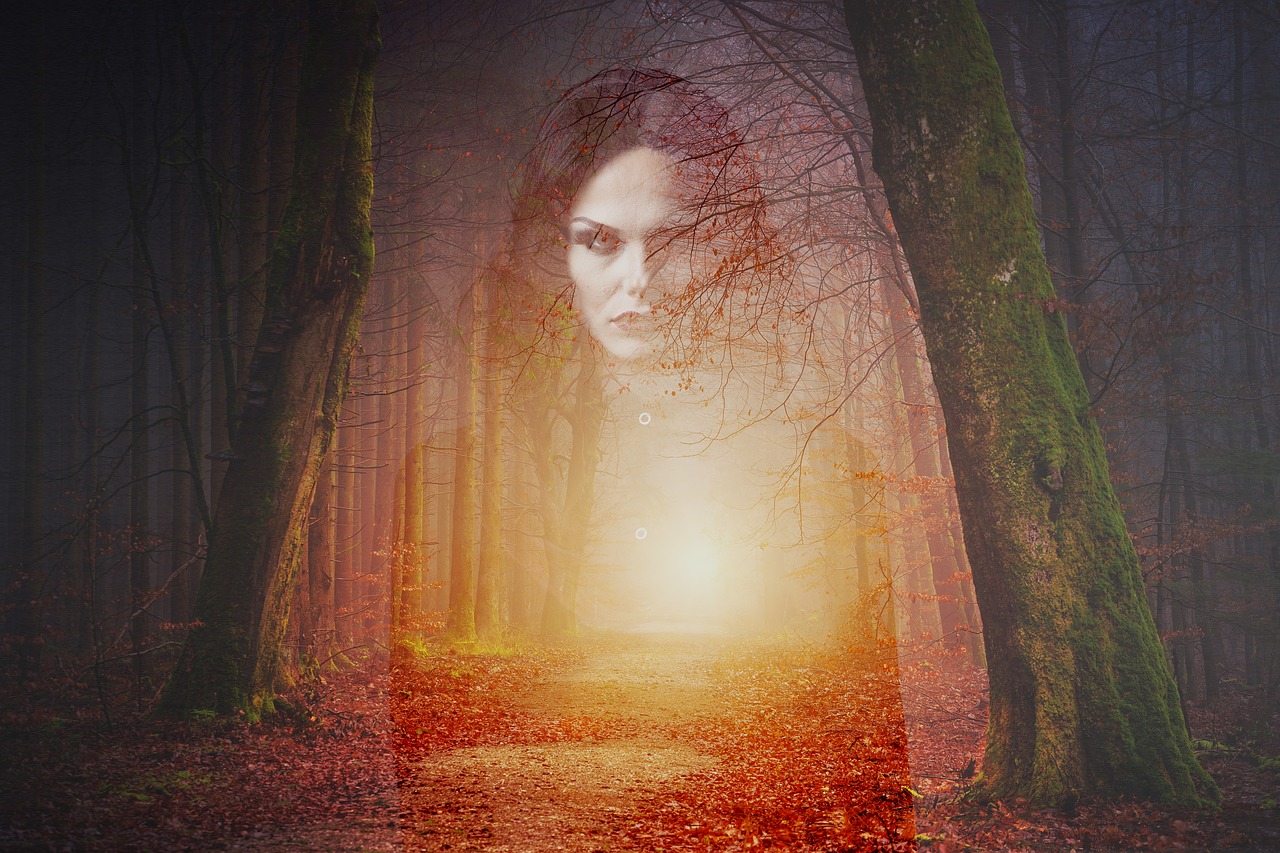 forest  ghost  gothic free photo