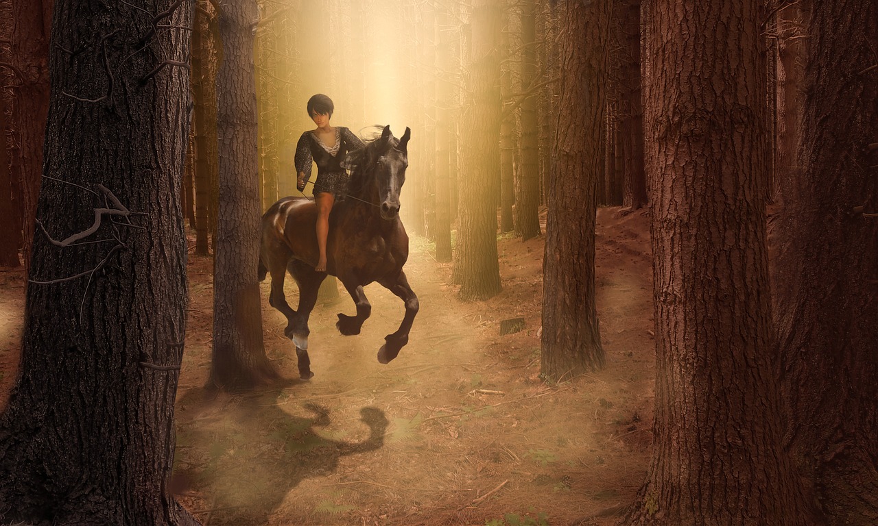 forest  horse  girl free photo